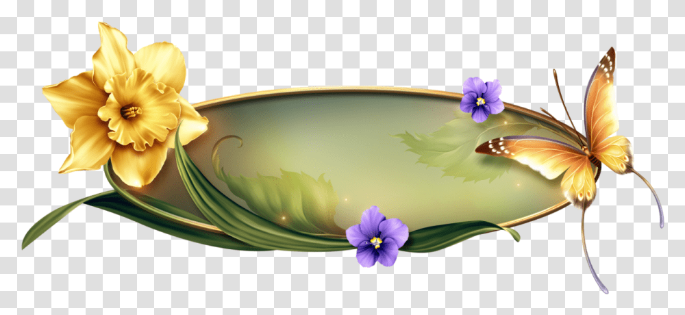 Spring Glow Bellisima Glow Beautiful Pictures Flowers Cattleya, Plant, Bowl, Anther, Floral Design Transparent Png