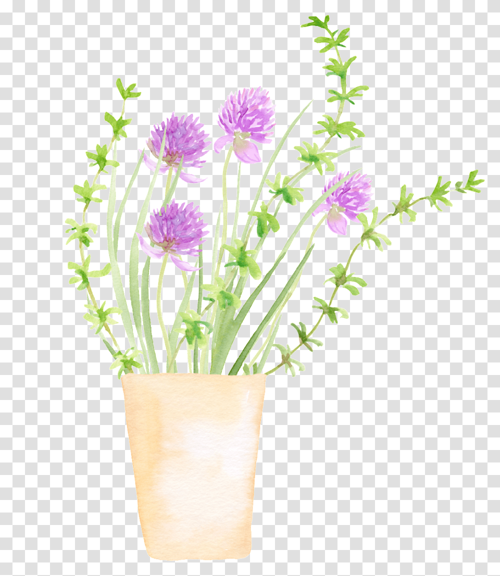 Spring Growing Plant Cartoon Flowerpot, Potted Plant, Vase, Jar, Pottery Transparent Png