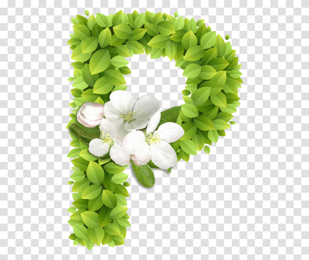 Spring Letters, Wreath, Plant Transparent Png