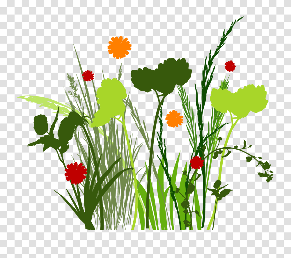 Spring Meadow Clip Art Free Cliparts, Plant, Flower, Floral Design, Pattern Transparent Png