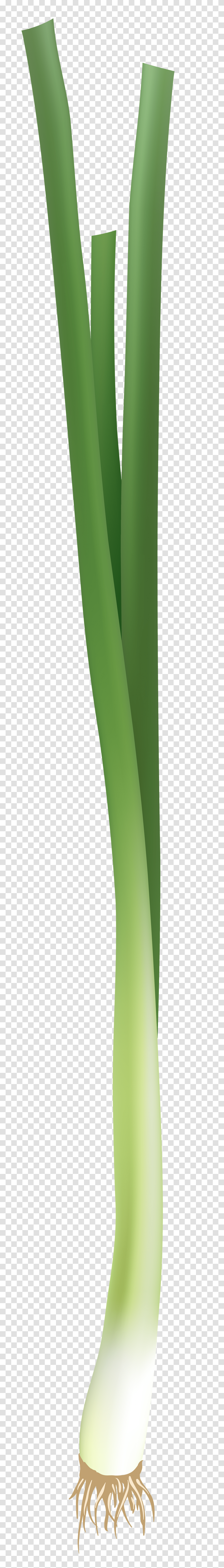 Spring Onion Clip Art, Green, Plant, Bamboo, Bottle Transparent Png