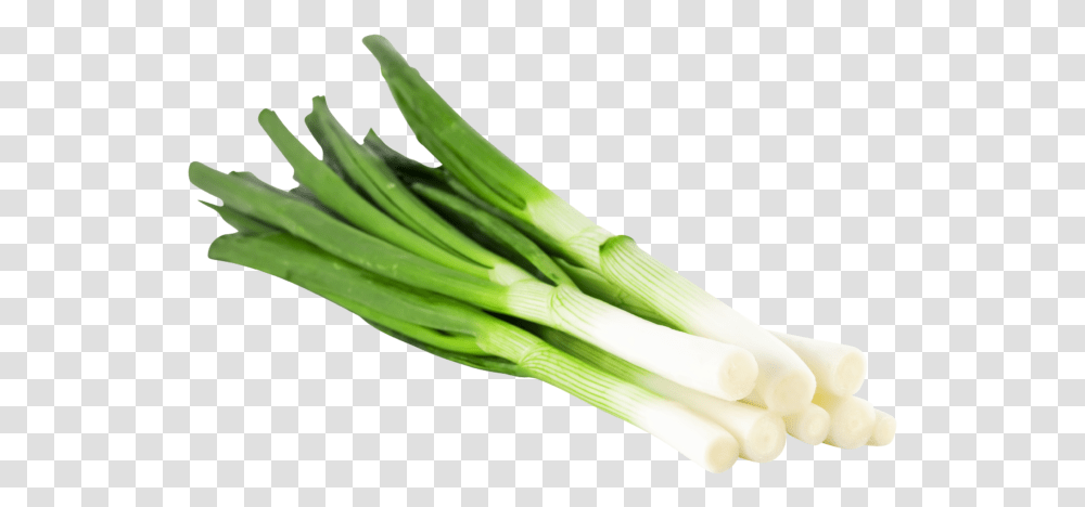 Spring Onion In German, Plant, Produce, Food, Vegetable Transparent Png