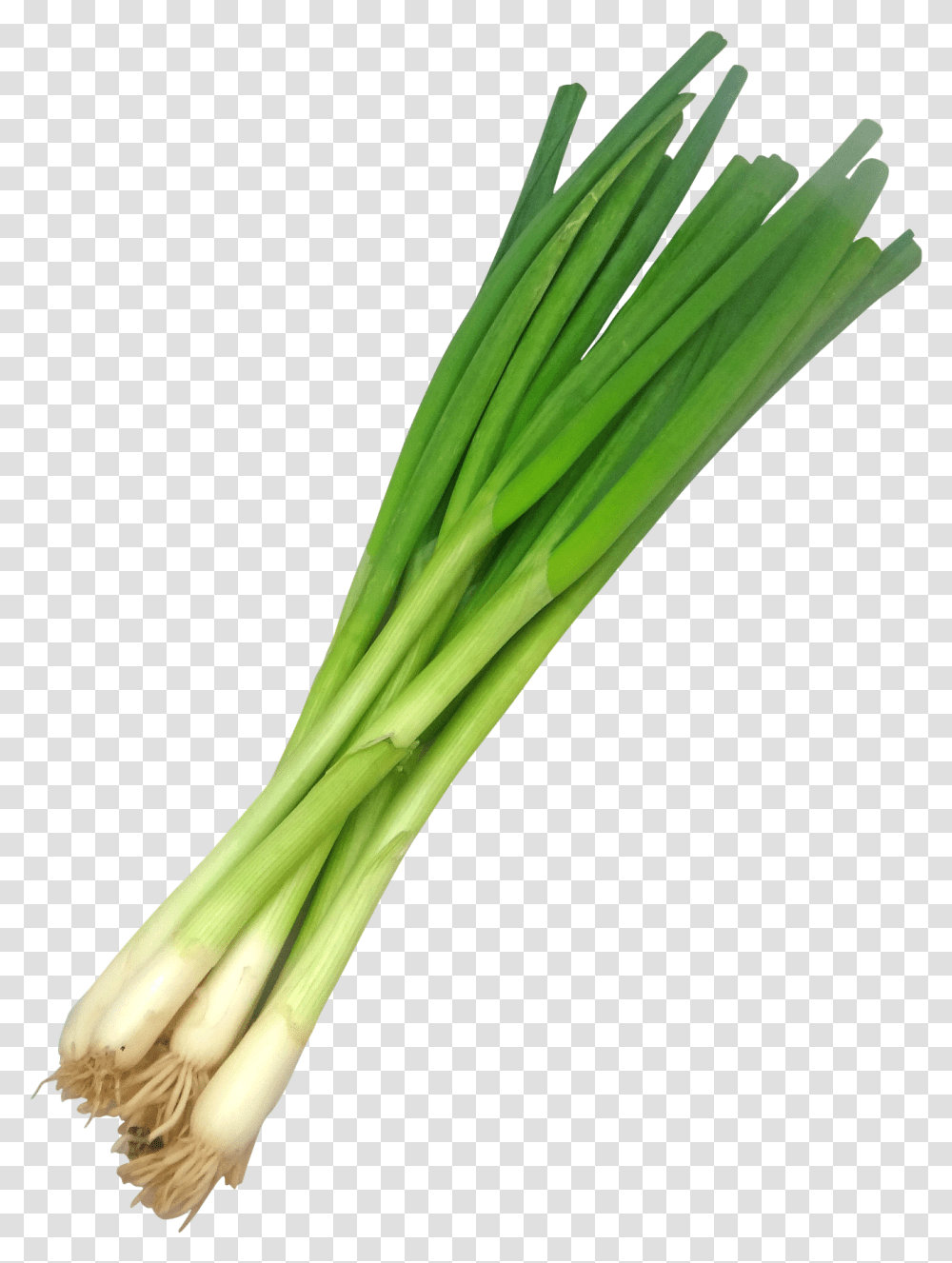 Spring Onions Background, Plant, Produce, Food, Leek Transparent Png