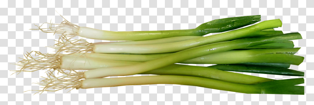 Spring Onions, Plant, Produce, Food, Vegetable Transparent Png