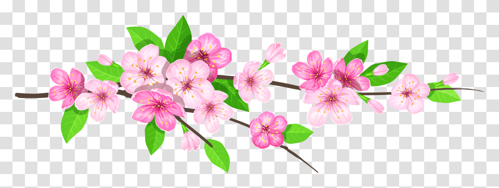 Spring, Plant, Flower, Blossom, Cherry Blossom Transparent Png