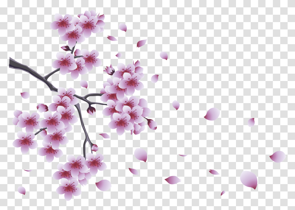 Spring, Plant, Flower, Blossom, Cherry Blossom Transparent Png