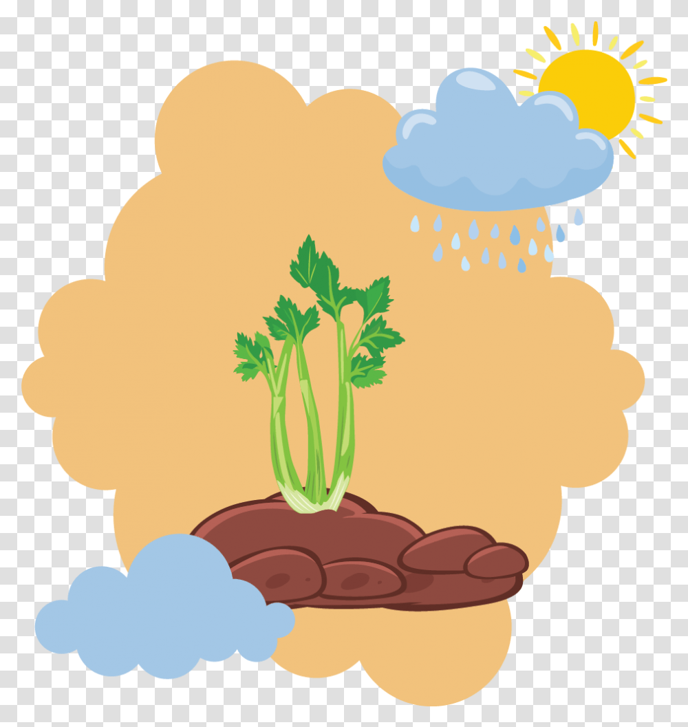 Spring Plant Pot Cloud Flat Icon Language, Broccoli, Vegetable, Food, Jar Transparent Png