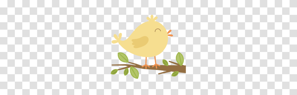 Spring Robin Bird Clipart, Animal, Fowl, Poultry, Chicken Transparent Png