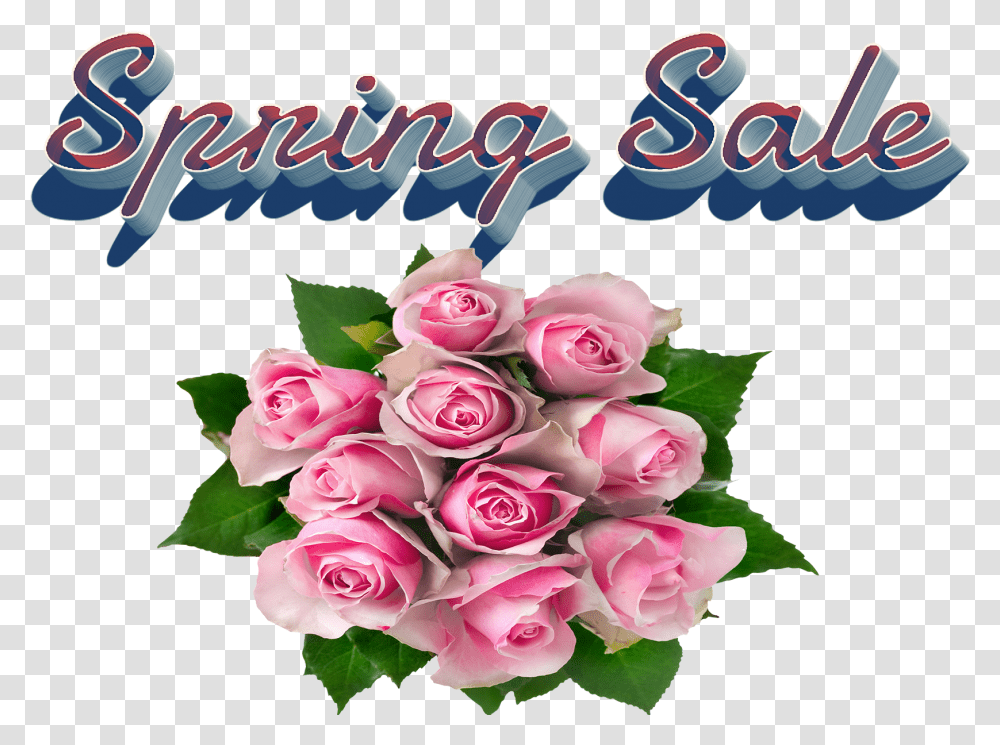 Spring Sale Image File Rose Bouquet Background, Plant, Flower Bouquet, Flower Arrangement, Blossom Transparent Png