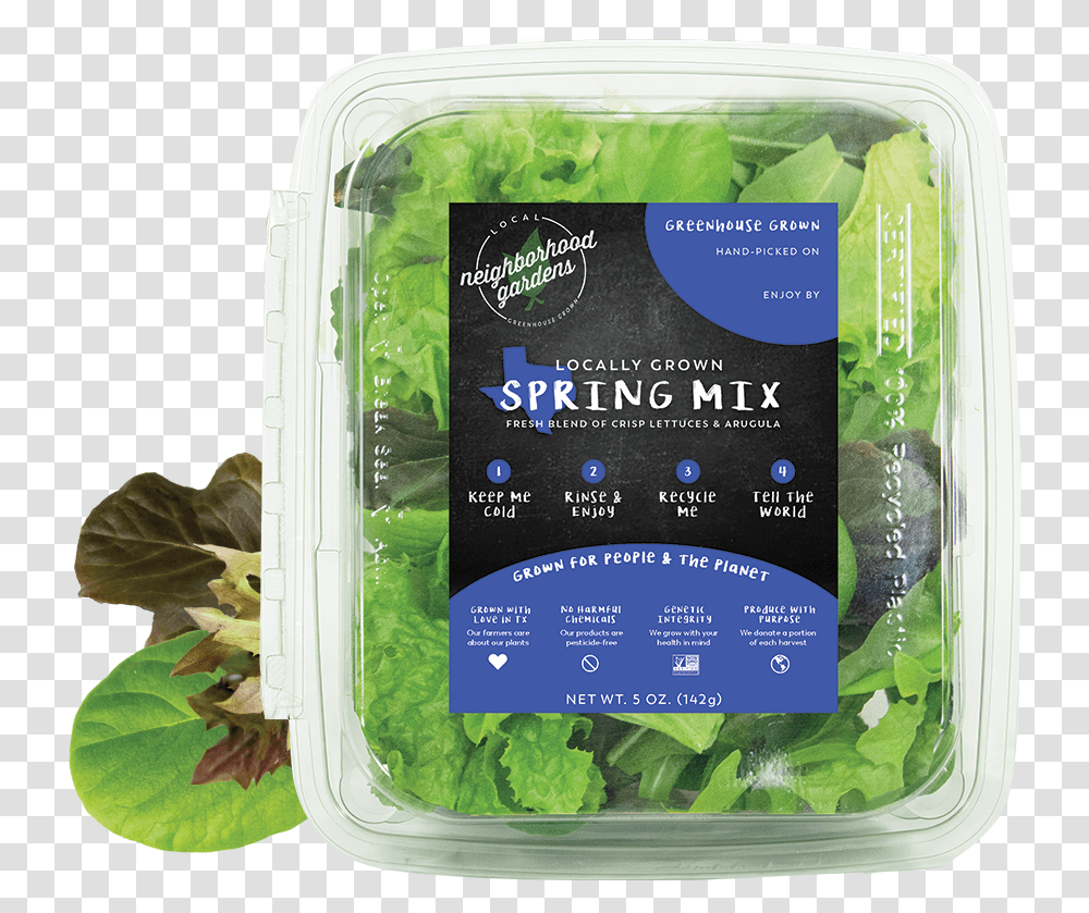 Spring Sample Broccoli, Plant, Vegetable, Food, Lettuce Transparent Png