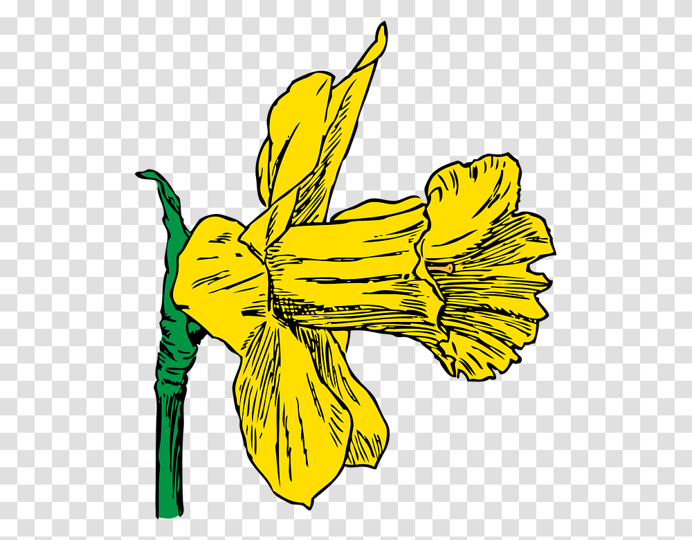 Spring Season Clipart Daffodil Clip Art, Plant, Flower, Blossom, Fish Transparent Png
