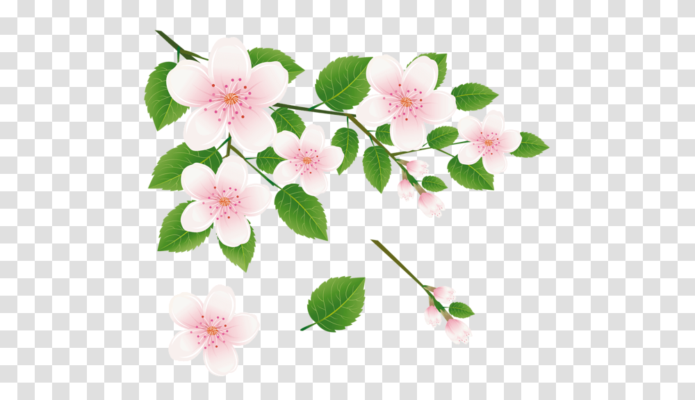 Spring Tree Branch With Flowers Clipart Picture All Hd Tree Flowers Clipart, Plant, Blossom, Petal, Anther Transparent Png