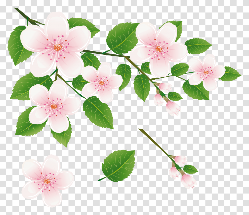 Spring Tree Branch With Flowers Clipart Picture Flower Of Tree Clipart, Plant, Blossom, Petal, Cherry Blossom Transparent Png