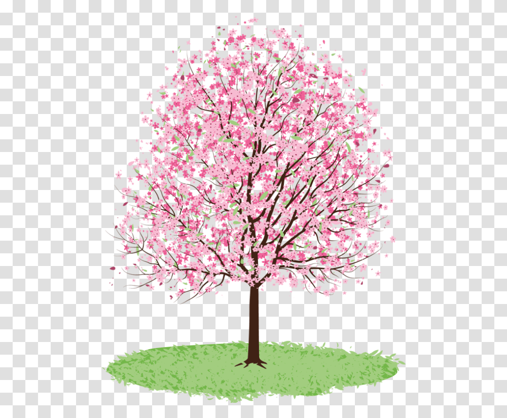 Spring Tree Clipart Free Download Drawing Of Cherry Blossom Tree, Plant, Flower Transparent Png