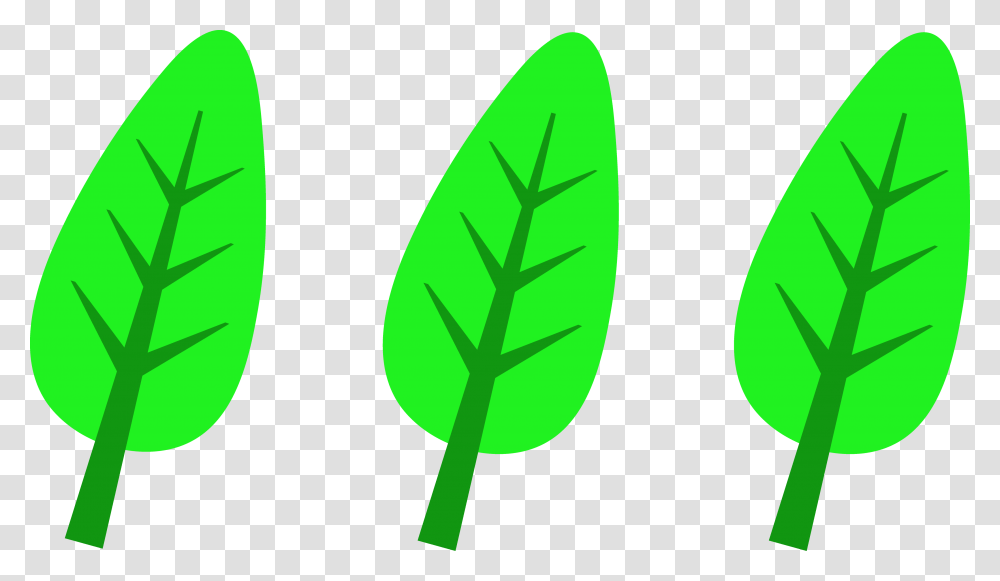 Spring Tree Clipart, Leaf, Plant, Green Transparent Png