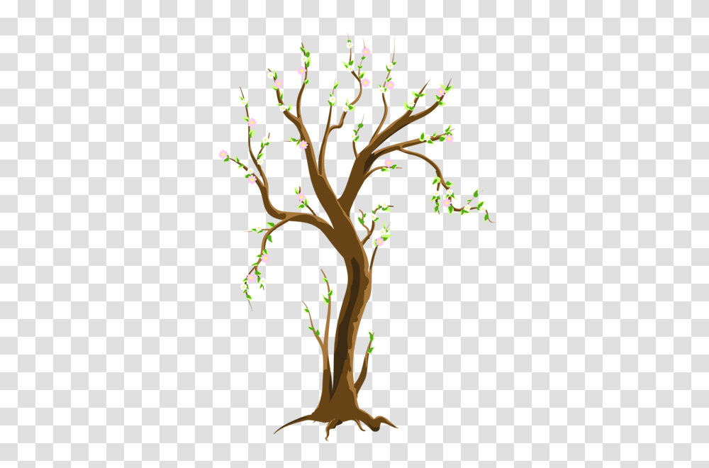 Spring Tree Clipart Picture, Plant, Tree Trunk, Vegetation, Outdoors Transparent Png