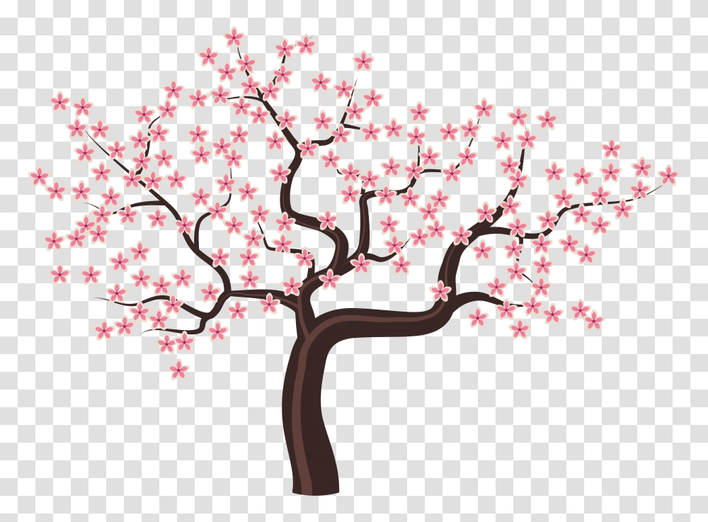 Spring Tree Clipart, Plant, Flower, Blossom, Cherry Blossom Transparent Png
