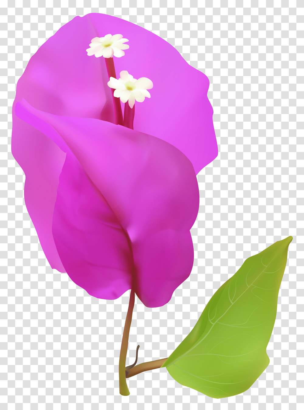 Spring Tree Flower Clip Art Transparent Png