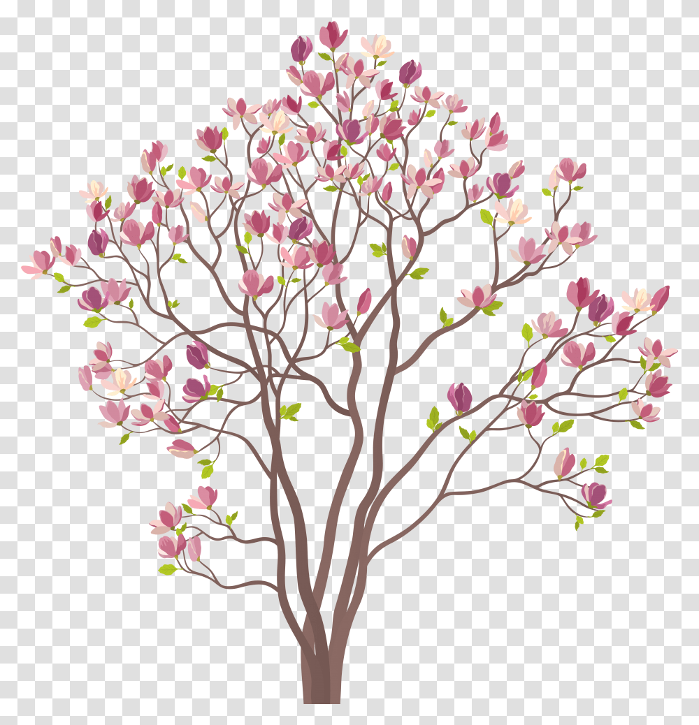 Spring Tree, Plant, Cherry Blossom, Flower Transparent Png