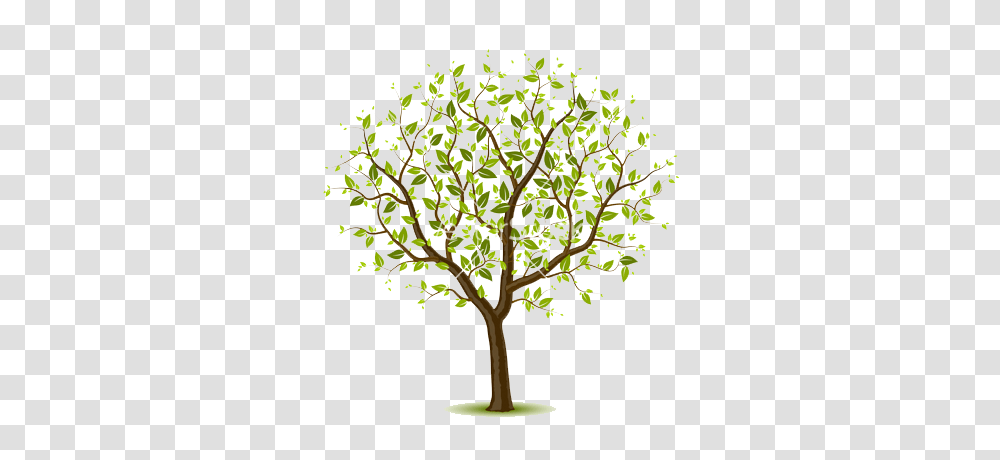 Spring Tree Vector Divided Dividers, Plant, Tree Trunk, Painting Transparent Png