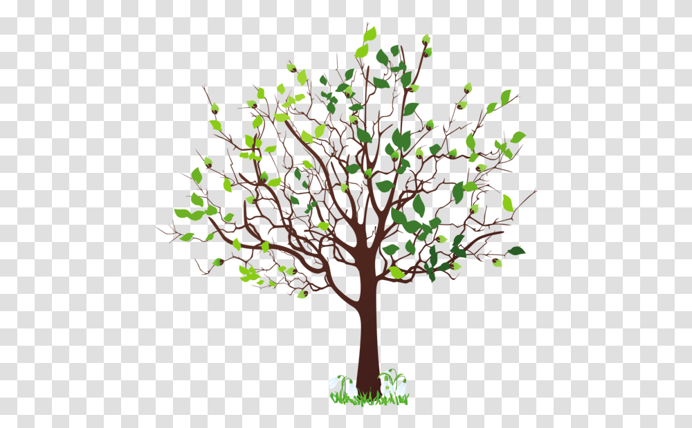 Spring Tree With Snowdrops Clipart Picture Spring Tree Clipart, Plant, Tree Trunk, Oak, Leaf Transparent Png