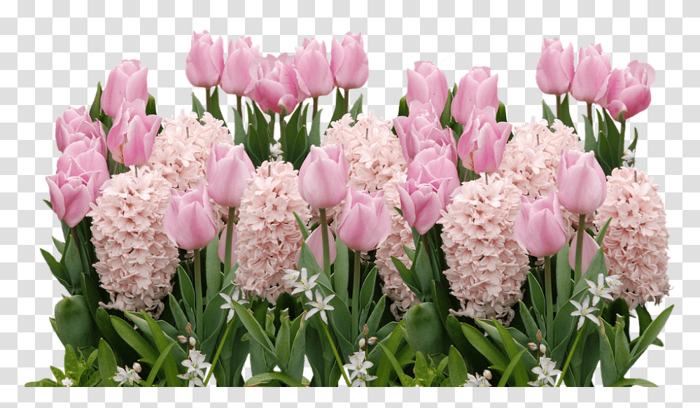 Spring Tulips Easter Easter Clipart Spring Flowers, Plant, Blossom, Flower Bouquet, Flower Arrangement Transparent Png