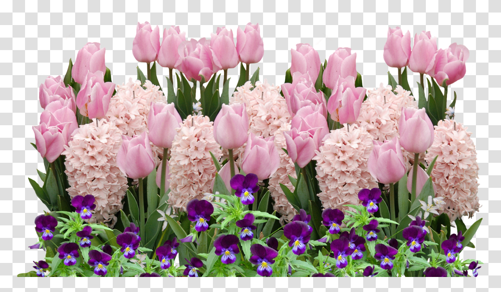 Spring Tulips Easter Flower Flowers Flowerspring, Plant, Blossom, Geranium, Flower Arrangement Transparent Png