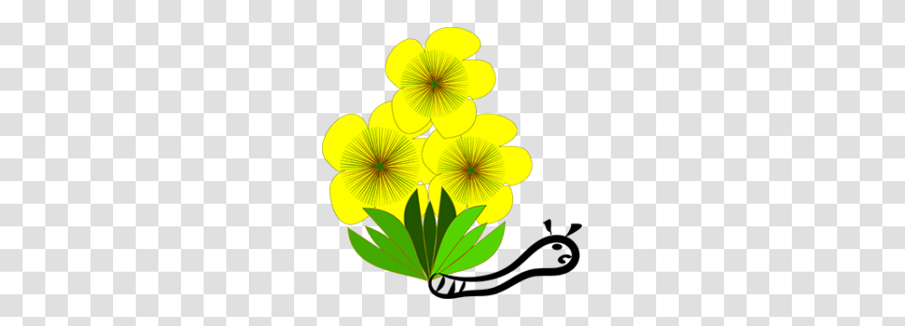 Spring Wildflowers Gardeners Exchange Group, Plant, Blossom, Green, Petal Transparent Png