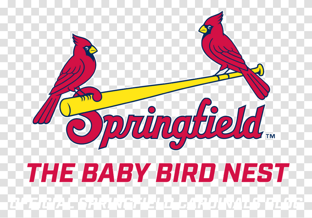 Springfield Cardinals Logo, Bird, Animal, Canary, Finch Transparent Png