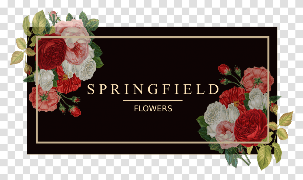 Springfield Flowers Garden Roses, Floral Design, Pattern Transparent Png