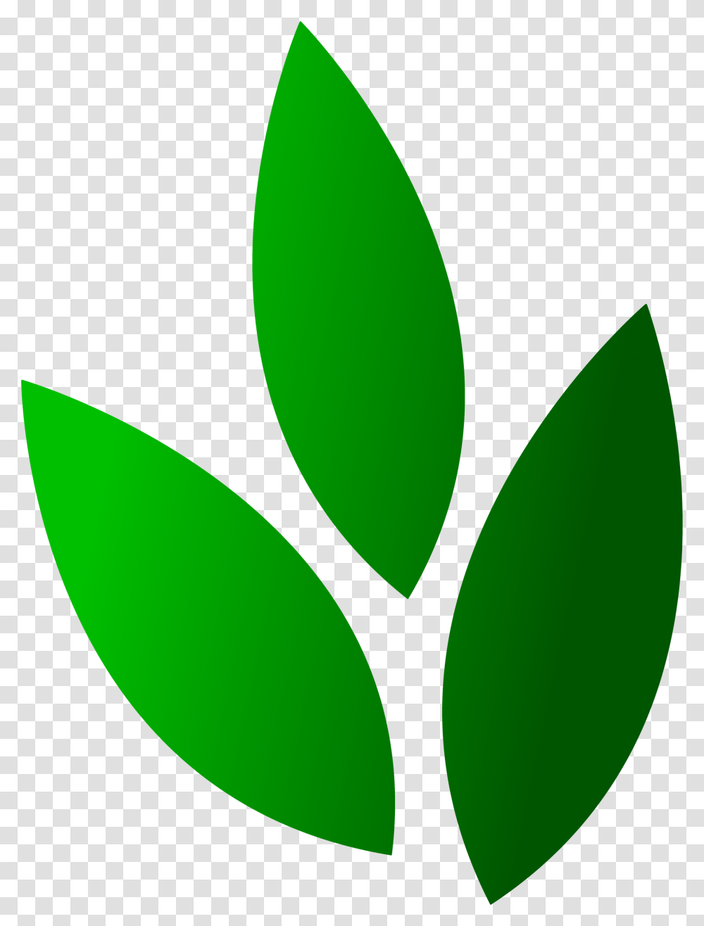 Springhill Landscaping Llc Better Business Profile, Logo, Trademark, Plant Transparent Png