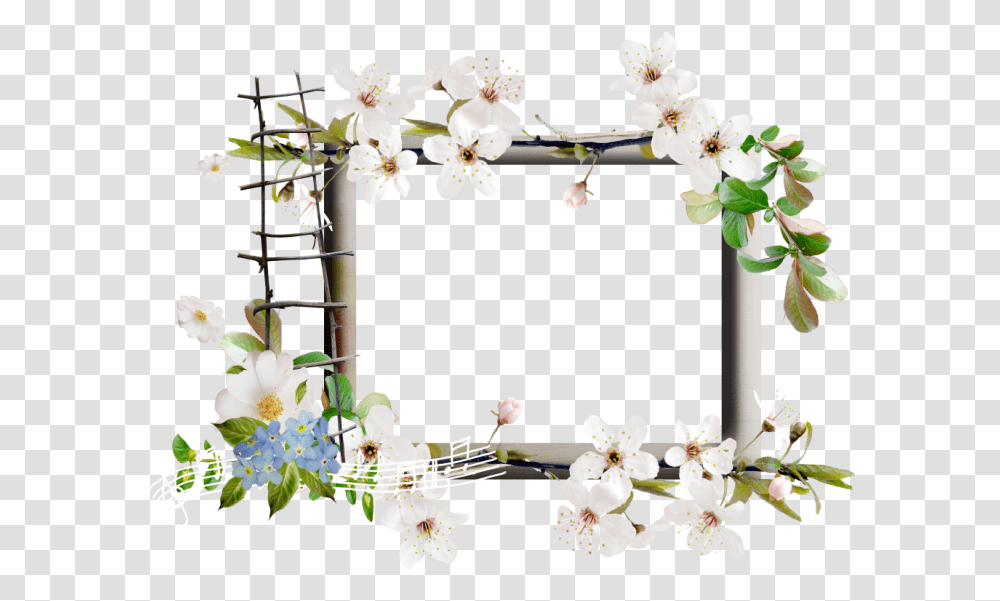 Springtime Frames, Plant, Flower, Flower Arrangement, Jar Transparent Png