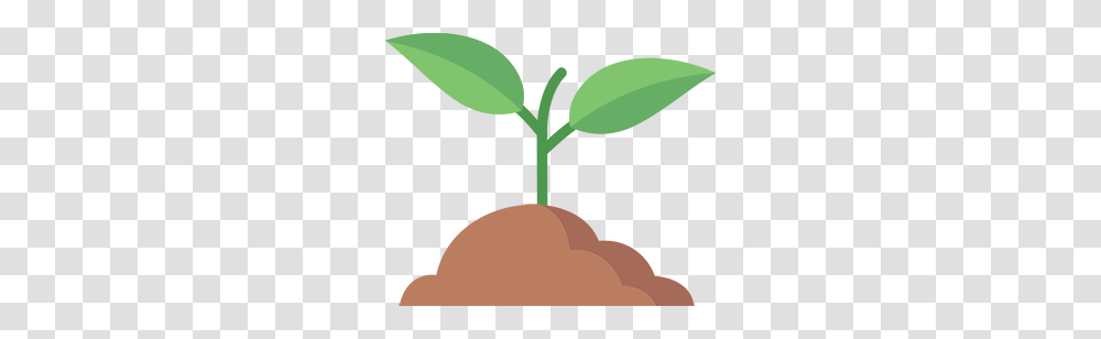 Sprout, Green, Plant, Vase, Jar Transparent Png