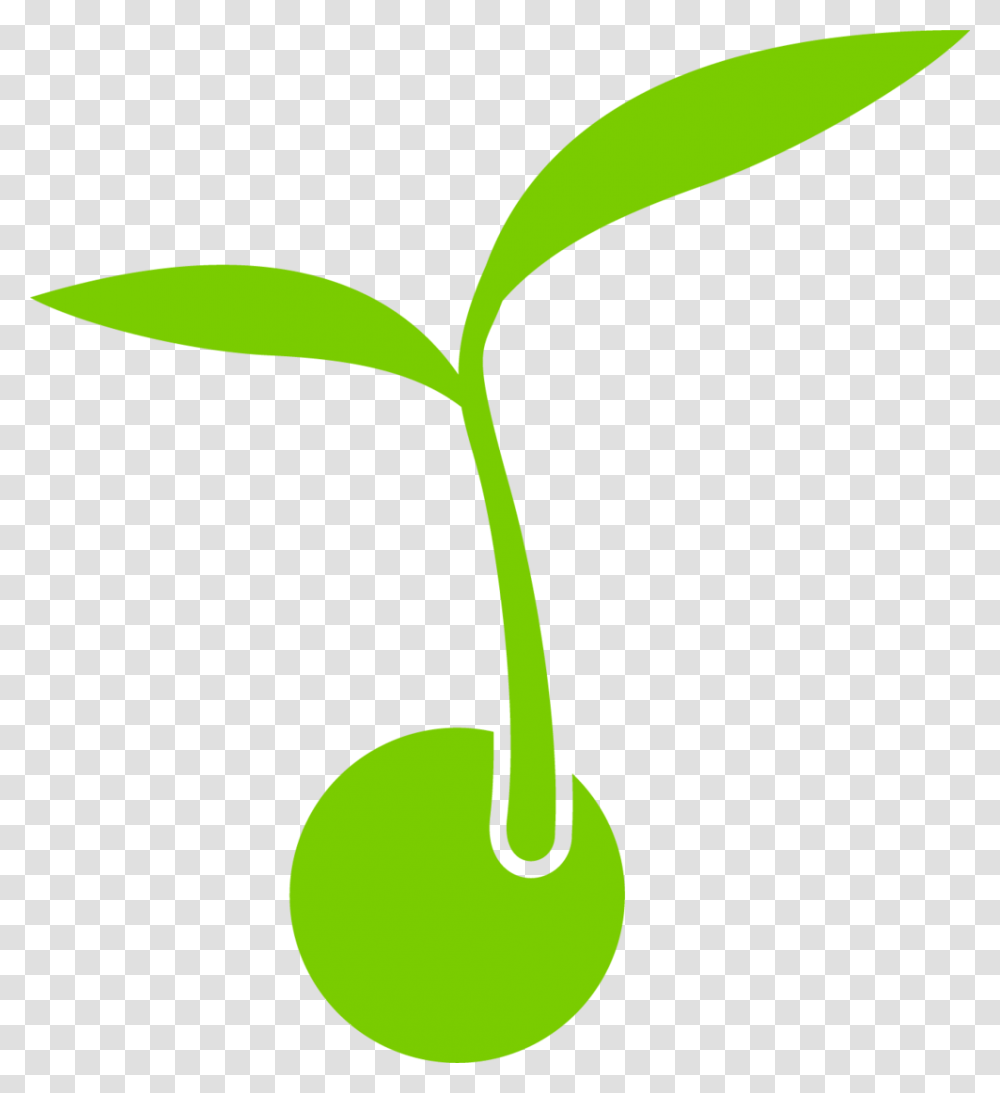 Sprout, Plant, Fruit, Food, Cherry Transparent Png