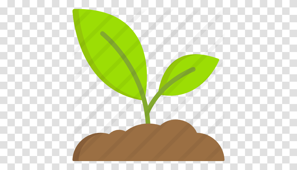 Sprout, Plant, Leaf, Tennis Ball, Sport Transparent Png