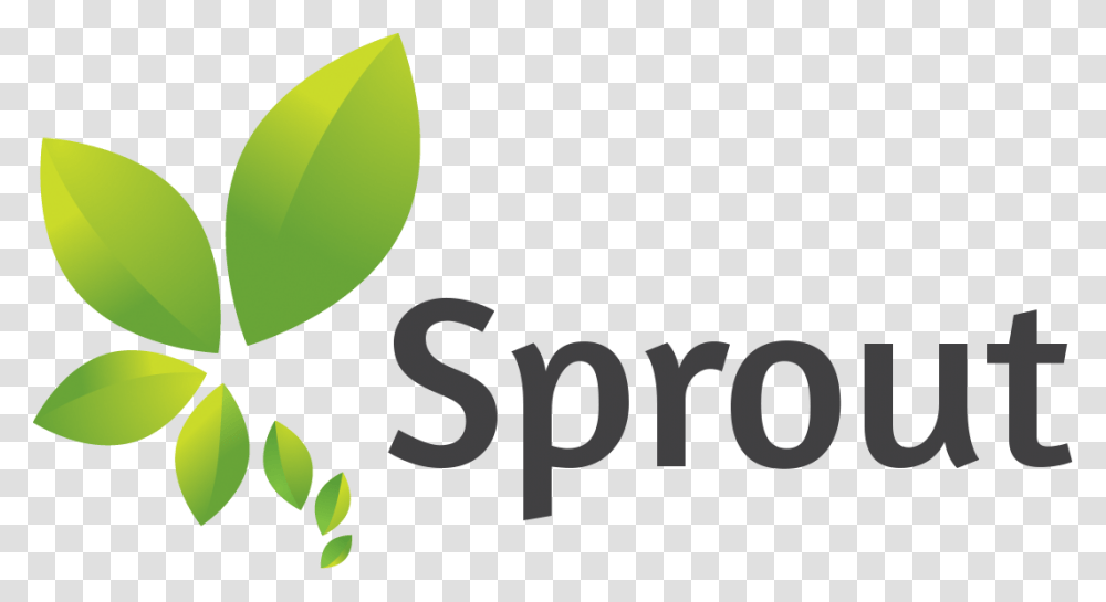 Sprout, Plant, Potted Plant, Vase, Jar Transparent Png