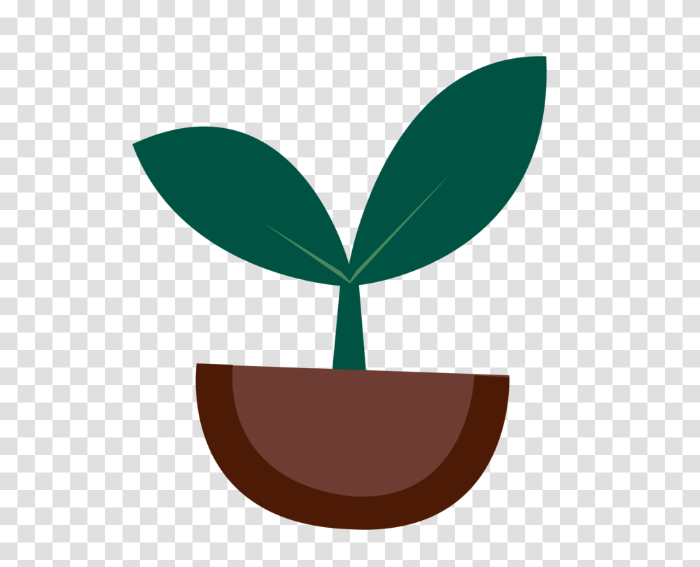 Sprouting Seedling Download, Plant, Leaf, Lamp, Vegetation Transparent Png