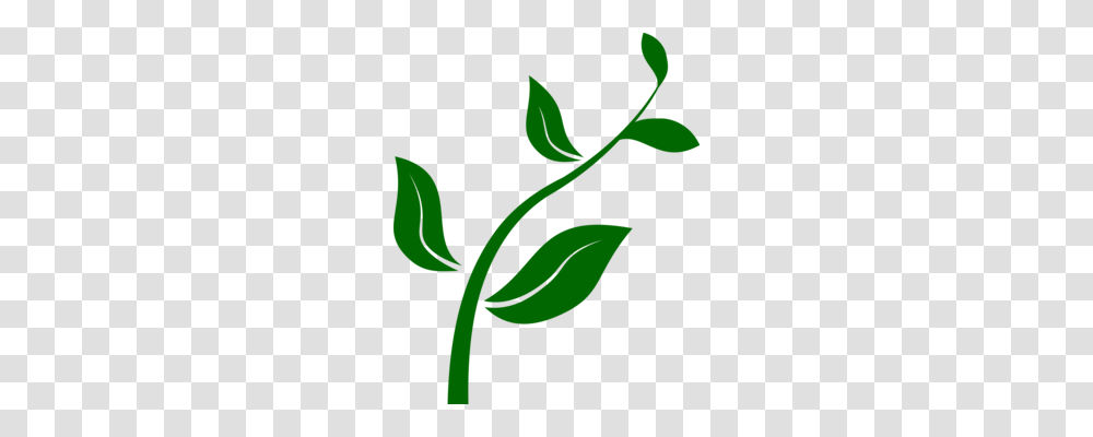 Sprouting Soil Computer Icons Plants Seed, Green, Leaf, Flower Transparent Png