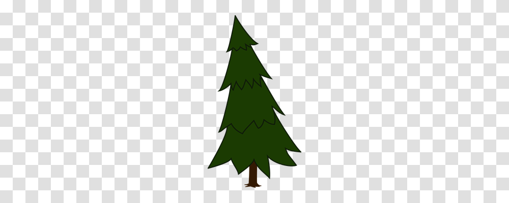 Spruce Nature, Ornament, Plant, Pattern Transparent Png