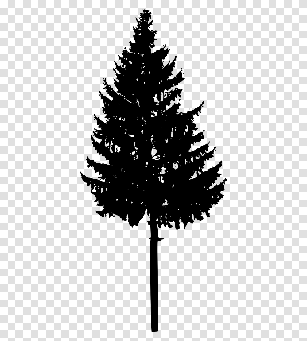 Spruce Fir Christmas Tree Silhouette Portable Network Graphics, Plant, Abies, Pine, Ornament Transparent Png
