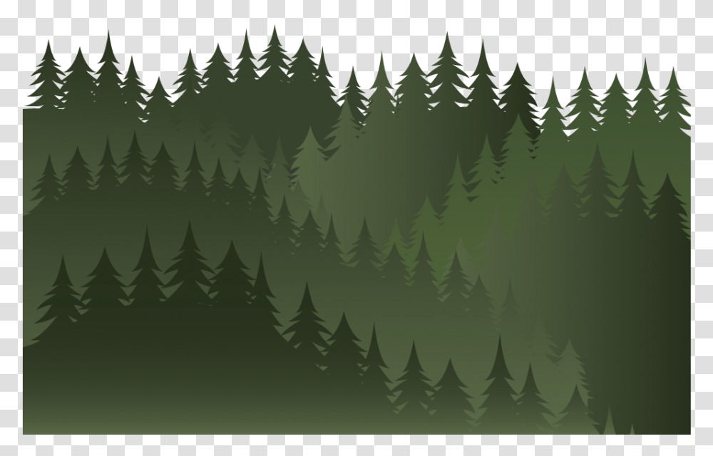 Spruce Fir Forest, Green, Plant, Tree, Vegetation Transparent Png