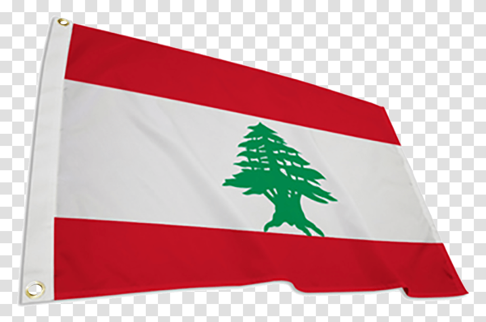 Spruce, Flag, American Flag Transparent Png