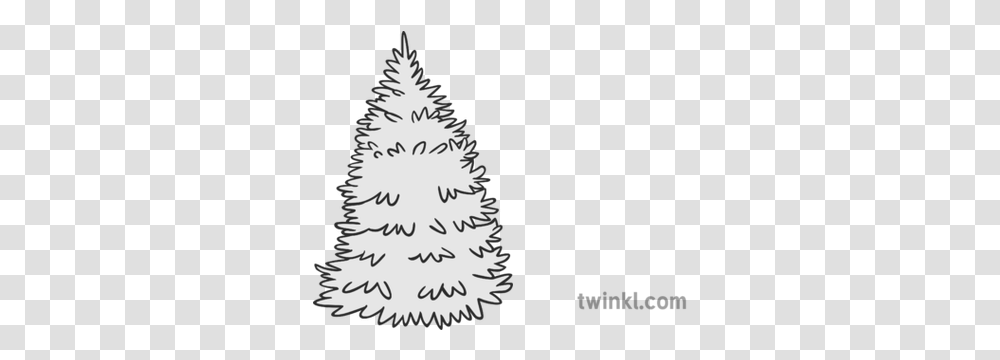 Spruce Tree Black And White Illustration Twinkl Christmas Tree, Plant, Ornament, Star Symbol Transparent Png