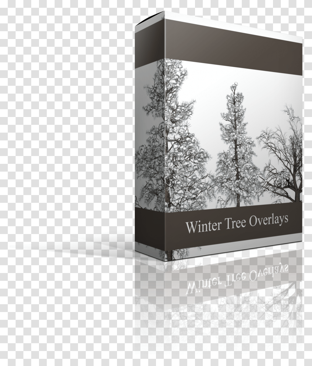 Spruce, Tree, Plant, Advertisement, Poster Transparent Png