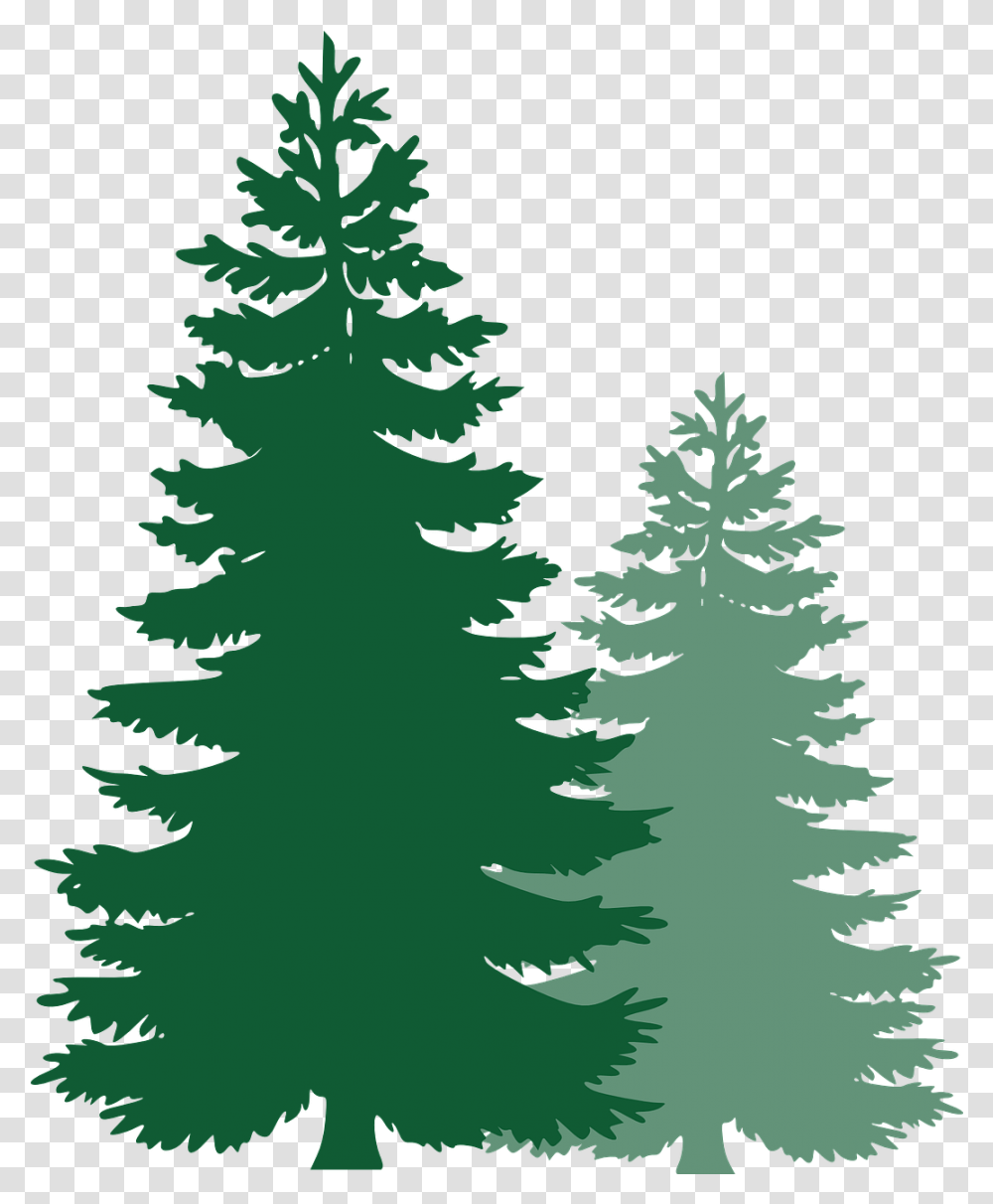 Spruce Trees Evergreen Tree Pine Tree Clip Art, Plant, Fir, Abies, Ornament Transparent Png