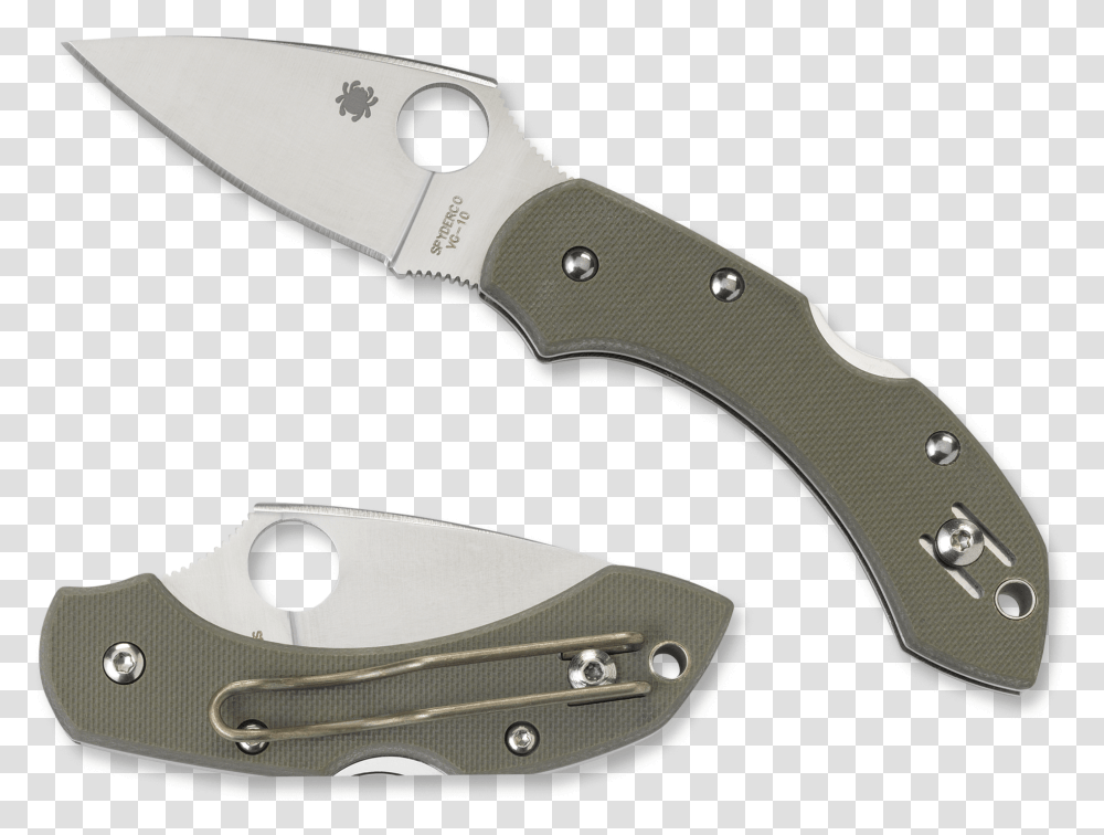 Spyderco Dragonfly 2, Knife, Blade, Weapon, Weaponry Transparent Png