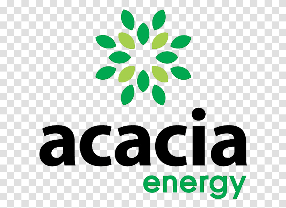 Sq Acacia Acacia Energy, Green, Floral Design Transparent Png