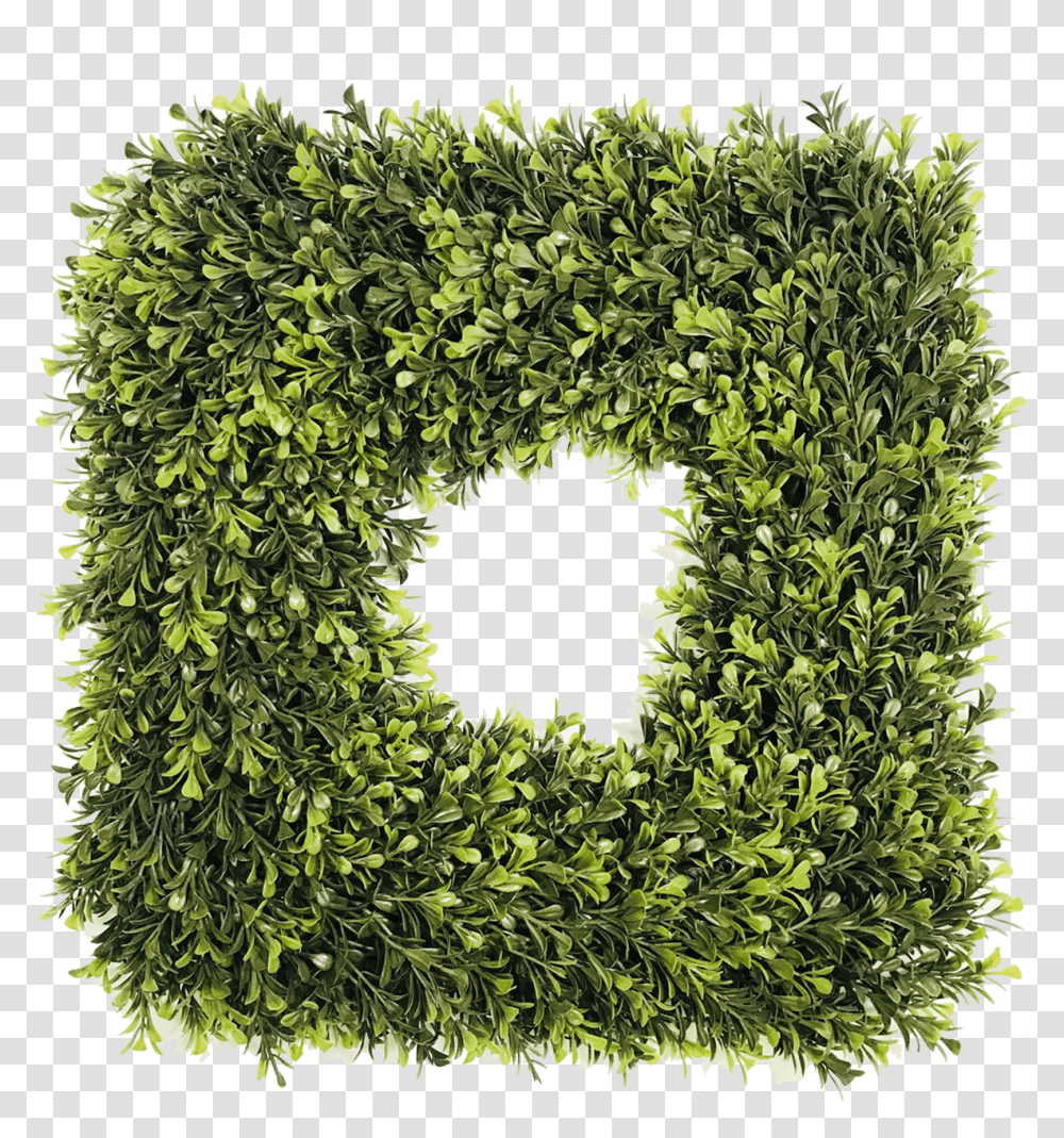 Square Artificial Spring Boxwood Wreath Circle, Rug Transparent Png
