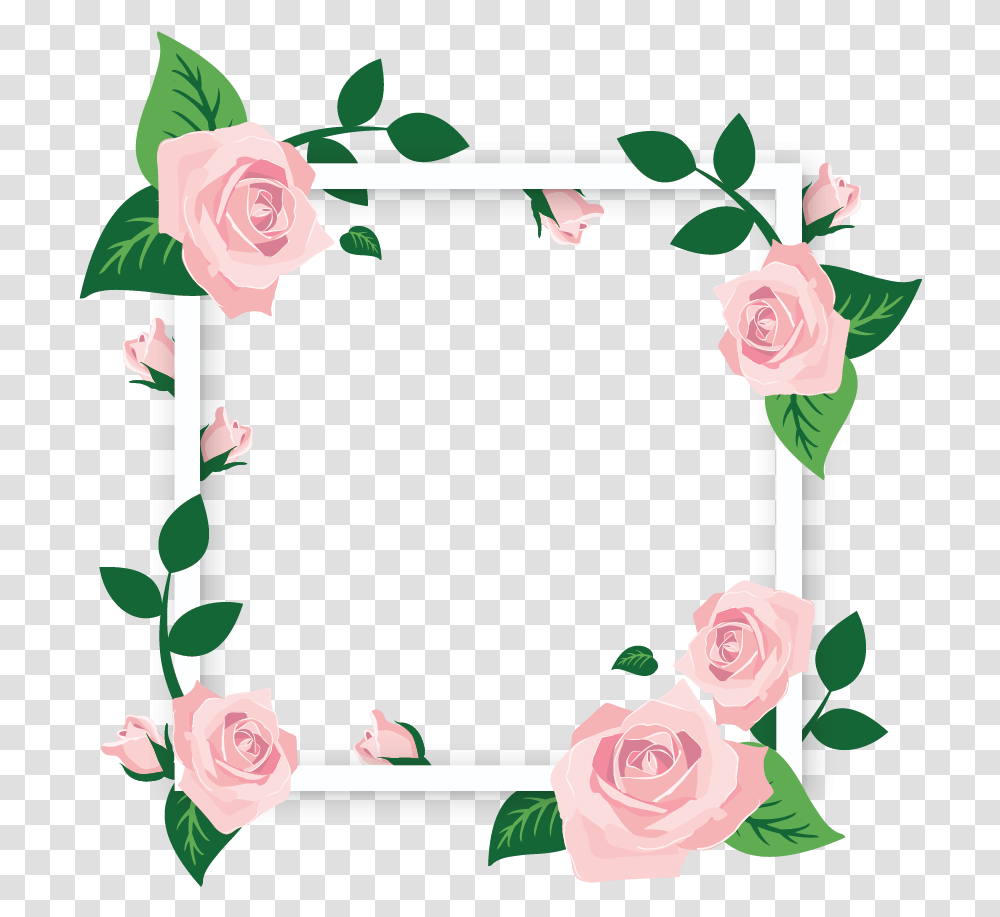 Square Flower Frames Background Flower Frame, Plant, Blossom, Rose, Pattern Transparent Png