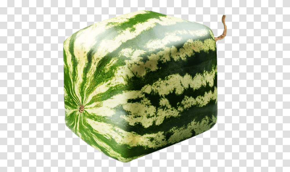 Square Watermelon Square Watermelon Cut In Half, Plant, Fruit, Food, Painting Transparent Png